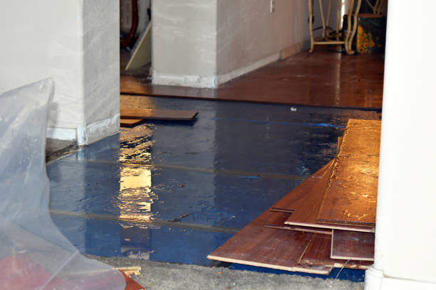 Professional Basement Flood Cleanup technician working in Amagansett, NY